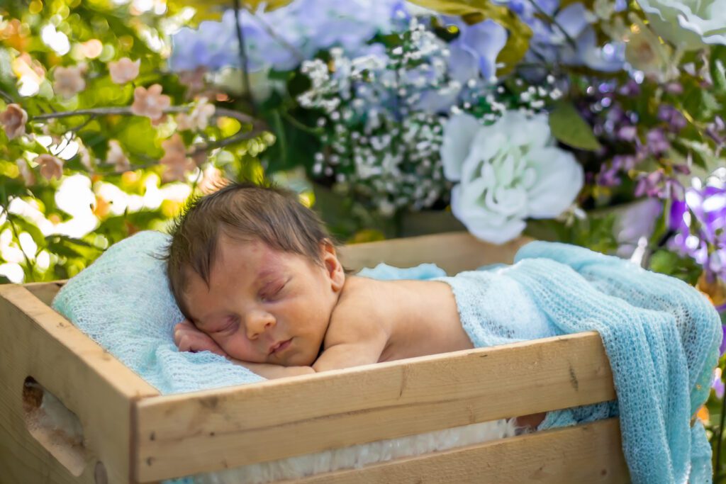 baby in soft crate forest outdoor newborn photoshoot victoria bc photography